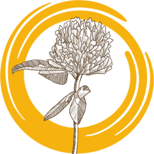 Семена донника белого ОБСКОЙ ГИГАНТ РС2