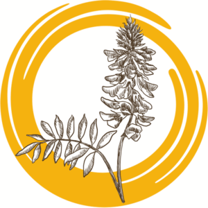 Семена донника белого ОБСКОЙ ГИГАНТ РС2