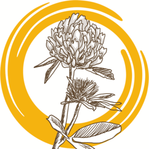 Семена донника белого ОБСКОЙ ГИГАНТ РС2