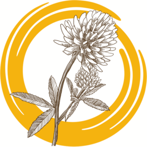 Семена донника белого ОБСКОЙ ГИГАНТ РС2