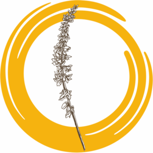 Семена донника белого ОБСКОЙ ГИГАНТ РС2