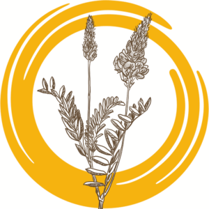 Семена донника белого ОБСКОЙ ГИГАНТ РС2