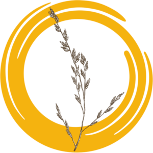 Фестулолиум