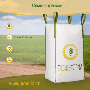 grechiha-1210145-ube85j Семена гречихи ДИАНА РС1 (урожай 2025 года)
