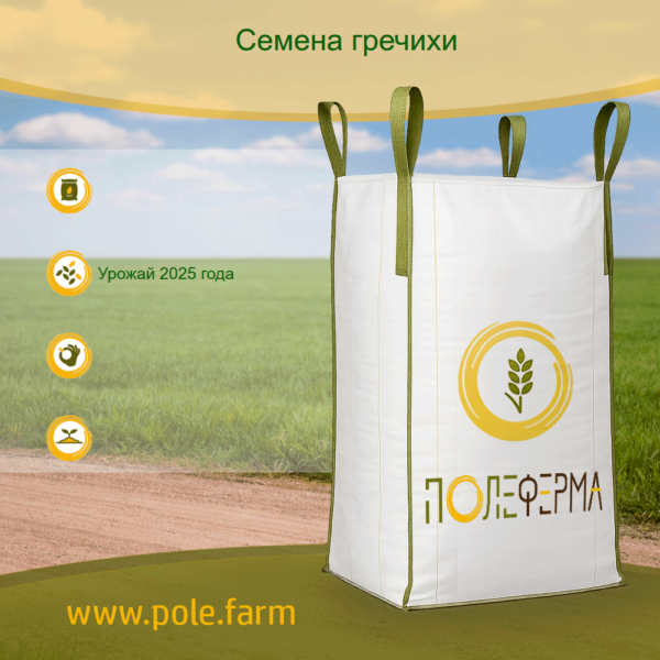 grechiha-1210145-ube85j Семена гречихи ДИАНА РС1 (урожай 2025 года)