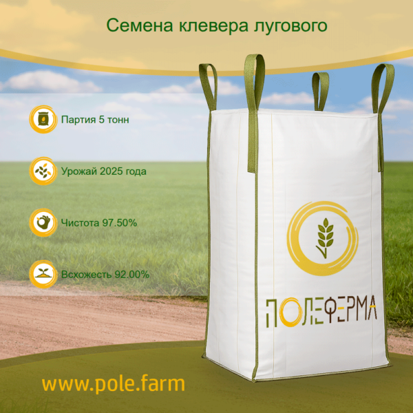 Семена клевера лугового (урожай 2025 года, партия 5  тонн)