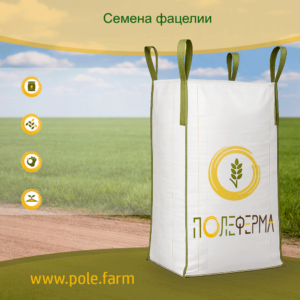 Семена фацелии
